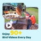 thumbnail image 3 of Comedero Inteligente para Pájaros NETVUE con Cámara Inalámbrica 2MP y Energía Solar, 3 of 9