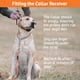 thumbnail image 4 of Remote Trainer SportDog YardTrainer 300 para perros de más de 8 libras, 4 of 8