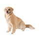 thumbnail image 1 of Figura De Perro Realista, Excelente Mano De Obra, Recuerdo, Figura De Animal Coleccionable, Marrón Claro, 1 of 3