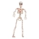 thumbnail image 5 of Figura De Esqueleto De Halloween Articulada, Decorativa Para Césped Interior., 5 of 5