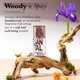 thumbnail image 2 of Perfume Solinotes Santal Eau de Parfum, 15 ml, para hombre y mujer, 2 of 9