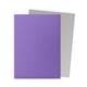 thumbnail image 3 of Protector Dragon Shield Standard DUAL Matte Nebula & Silver, 3 of 3