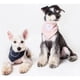 thumbnail image 4 of Bandana y bufanda para perro Touchdog ® 'Cyclops de ojos bizcos' de algodón, 4 of 6
