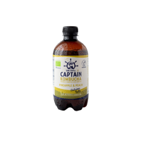 The Gutsy Captain - Kombucha Piña Durazno Gutsy Captain - 400 Ml