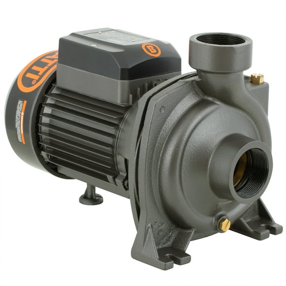 Bomba Superficie Centrifuga Gran Caudal 2HP BHFM6D