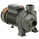 thumbnail image 1 of Bomba Superficie Centrifuga Gran Caudal 2HP BHFM6D, 1 of 5