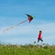 thumbnail image 4 of Colorful Life Delta De Kite Mint Para Niños Y Adultos Con 3 Cintas, 4 of 6