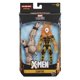 thumbnail image 1 of Figura de acción Marvel Hasbro Legends Series Sunfire 15 cm, 1 of 2