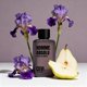 thumbnail image 5 of Perfume CEVI Les Parfums HOMME ABSOLU 100 ml Extrait, 5 of 8