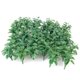 thumbnail image 1 of 50pcs Paisaje Verde Paisaje Modelo De Hojas Trituradas 1:50 Kit De Piezas De Montaje, 1 of 5