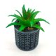 thumbnail image 2 of Planta Artificial Haworthia En Macetero De Cemento Negro, 2 of 3