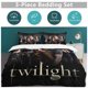 thumbnail image 5 of Twilight 3-Piece Bedding Set Soft Warm And Comfortable Soft Bed Set for Bedroom, 5 of 5