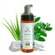 thumbnail image 1 of Shampoo sin Enjuague Quillay Aloe y Pantenol ECOAustralis  (160 mL), 1 of 2