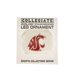 thumbnail image 1 of Adorno de bola Boelter Brands 7 cm LED de cambio de color, 1 of 1