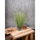 thumbnail image 3 of Pasto Hoja Chica Con Florecencia Blanca 25cm Artificial, 3 of 3