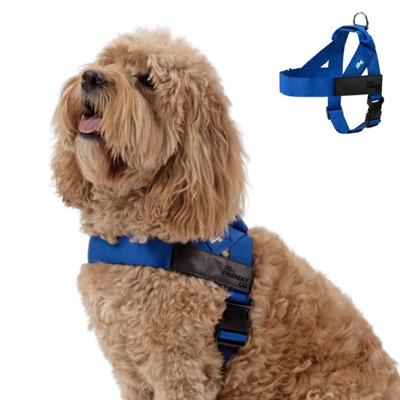 Arnés para perro Dog Friendly Co XL azul clásico