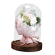 thumbnail image 1 of Ilumina La Rosa En La Cúpula De Cristal Luz LED Flor Artificial Para Mujeres Regalo De Mamá, 1 of 5