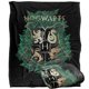 thumbnail image 1 of Manta LOGOVISION 127 cm Harry Potter Escudo Floral Verde y Oro de Hogwarts, 1 of 8