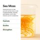 thumbnail image 5 of Sérum Abib Clear Spot con extracto de seamoss, ácido azelaico, 30 ml, 5 of 7