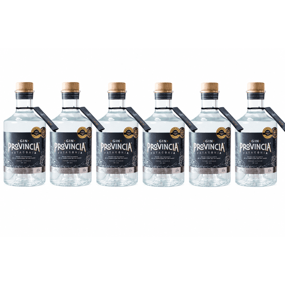 Gin Provincia Patagonia 46° 700cc x6 unidades