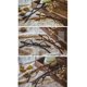 thumbnail image 5 of Gafas de Lectura Loovit 1.0 Leopardo y Negro (2 pares), 5 of 7