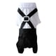 thumbnail image 1 of Traje Acogedor Para Perros Con Pajarita Para Perros Peque?os Y Gatos Disfraz XL, 1 of 5