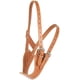 thumbnail image 1 of Collar para Caballo Weaver Equine (talla pequeña, color marrón dorado), 1 of 2