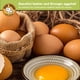 thumbnail image 4 of Larvas secas de mosca Black Soldier, 2,27 kg, para pollos y aves, 4 of 6