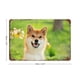 thumbnail image 2 of Shiba Inu Cartel Metálico, Decoración de Pared de Cartel Metálico Personalizado para Regalos de Fans, Amigos, Familia y Amantes 30*40cm, 2 of 6