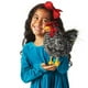 thumbnail image 3 of Marioneta de mano Folkmanis Barred Rock Rooster, negro, blanco y rojo, 3 of 3