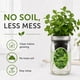 thumbnail image 3 of Kit de cultivo de hierbas Environet de menta piperita hidropónico para interior, 3 of 6