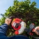 thumbnail image 3 of Cortaseto Castor HT230E, 3 of 5