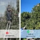 thumbnail image 5 of Recogedor de frutas Walensee, ajustable, 4 m, con barra de acero inoxidable, 5 of 7