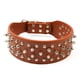 thumbnail image 1 of Un collar para perros con púas, adecuado para perros grandes y medianos., 1 of 5
