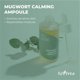 thumbnail image 2 of Ampolla IsNtree de Artemisa Calmante 50 ml para Piel Sensible, 2 of 6