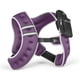 thumbnail image 1 of Chaleco con peso CAP para mujer y hombre 3.6 kg reflectante 8 lb morado, 1 of 9