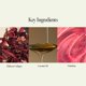 thumbnail image 3 of Bálsamo labial ANILLO Fig Haze Glow 5 g – Rubor coreano, 3 of 7