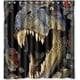 thumbnail image 1 of Cortina de ducha de dinosaurios, juego de cortina de baño con ganchos, tamaño 66 x 72 pulgadas, 1 of 3