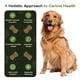 thumbnail image 3 of Masticables Blandos De Apoyo Inmunológico Para Perros 30 Unidades, 3 of 7