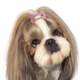 thumbnail image 4 of Pinzas para el pelo con forma de hueso de 1 pulgada, accesorios para el cuidado de mascotas, para perros, gatos y cachorros, paquete de 20, 4 of 5