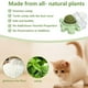 thumbnail image 5 of 3 bolas de menta giratorias con forma de tortuga para gatos, 5 of 6