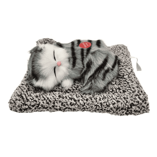 Gatito De Peluche Realista Dormido Con Sonido ( Mauya) Dorado