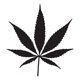 thumbnail image 1 of Decomural Cannabis Leaf Pack WS-33340, 1 of 2