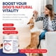 thumbnail image 4 of Suplemento Para Perros Mezcla De 7 Hongos Y Omega 3, 4 of 8
