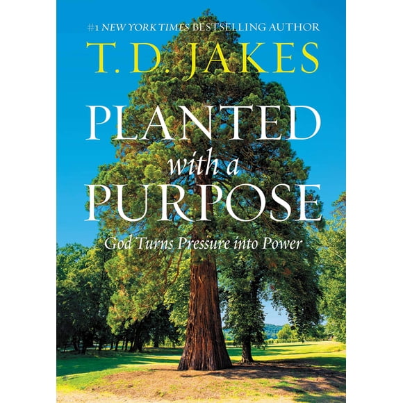 Libro Faith Words – Plantado con un Propósito
