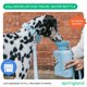 thumbnail image 2 of Botella de Agua para Perro Springland Pets 1300 ml Azul, 2 of 9