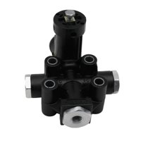 Haldex - Valvula Control Altura Randon