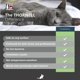 thumbnail image 5 of Eliminador de olores para mascotas Thornell Cat Odor-Off Fresh Scent 500 ml, 5 of 5