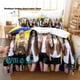 thumbnail image 1 of Celebrity album Lily Jin Morrow Bedding Set Single Twin Full Queen King Size Bed Set Adult Kid Bedroom Duvetcover Sets Bed Sheets, 1 of 5