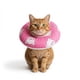 thumbnail image 3 of Collar Isabelino Suave Ajustables Talla S Mod 9, 3 of 3